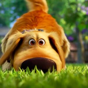 Dug Days: il trailer della serie spin-off di Up