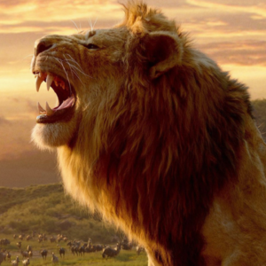 Mufasa: Il Re Leone, un doppiatore svela alcuni retroscena su Scar: “Uno dei giovani leoni più dolci”