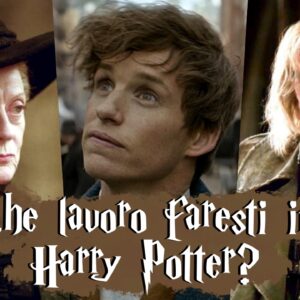 Quiz: quale lavoro faresti nel mondo di Harry Potter?