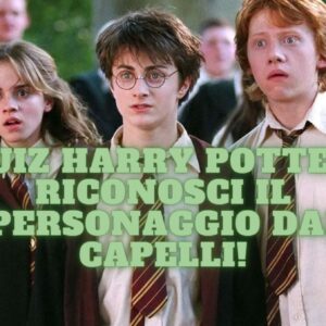 Quiz Harry Potter: riconosci il personaggio dai capelli!