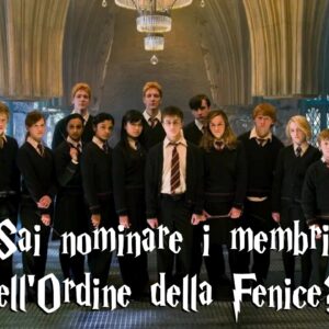 Harry Potter Quiz: sai nominare tutti i membri dell’Ordine della Fenice?