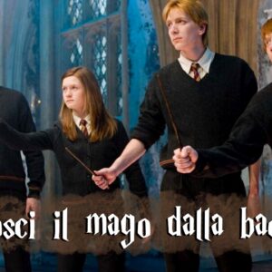 Harry Potter Quiz: riconosci il mago dalla sua bacchetta