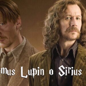 Harry Potter: sei più Remus Lupin o Sirius Black?