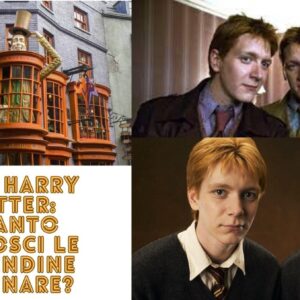 Quiz Harry Potter: quanto conosci le Merendine Marinare? (Livello esperto)