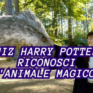 Quiz Harry Potter: riconosci l’animale magico!