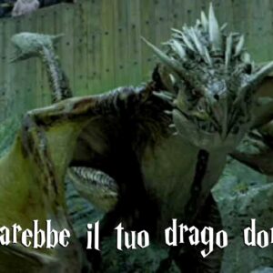 Harry Potter Quiz: quale sarebbe il tuo drago domestico?