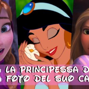 Disney Quiz: abbina la principessa Disney alla foto del suo castello