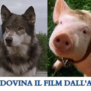 Quiz: riconosci il film dall’animale!