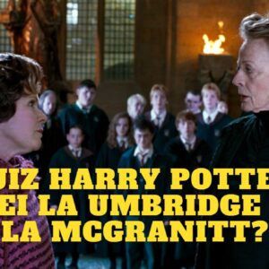 Quiz Harry Potter: sei la Umbridge o la McGranitt?