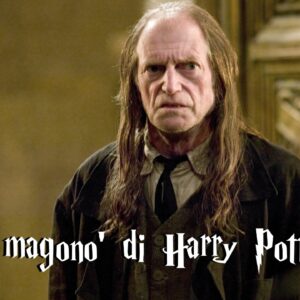 Harry Potter Quiz: quale magonò ti rappresenta di più?