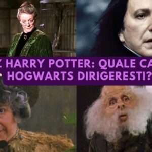 Quiz Harry Potter: quale casa di Hogwarts dirigeresti?