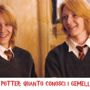 Quiz Harry Potter: quanto conosci i gemelli Weasley?