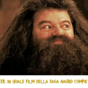 Quiz Harry Potter: in quale film della saga Hagrid compie questa azione?