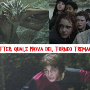 Quiz Harry Potter: quale prova del Torneo Tremaghi perderesti?