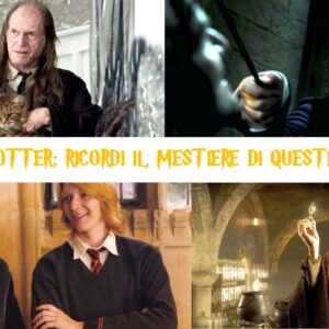 Quiz Harry Potter: ricordi il mestiere di questi personaggi?