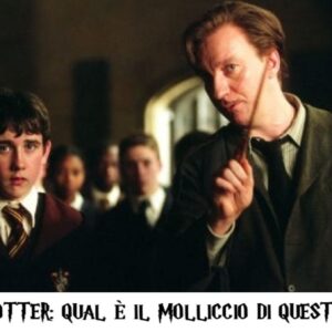 Quiz Harry Potter: qual è il Molliccio di questi personaggi?