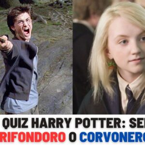 Quiz Harry Potter: sei Grifondoro o Corvonero?