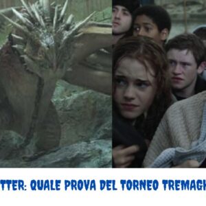 Quiz Harry Potter: quale prova del Torneo Tremaghi vinceresti?