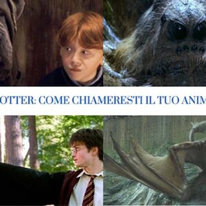 Quiz Harry Potter: come chiameresti il tuo animale magico?