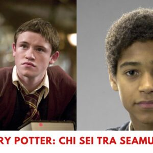 Quiz Harry Potter: chi sei tra Seamus e Dean?