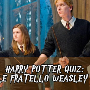 Harry Potter Quiz: quale fratello Weasley sei?