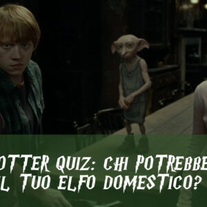 Harry Potter Quiz: chi potrebbe essere il tuo elfo domestico?