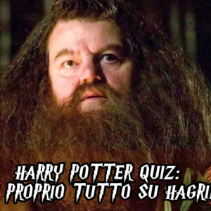 Harry Potter Quiz: sai proprio tutto su Hagrid?