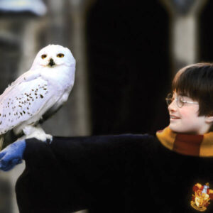 Harry Potter: annunciati la sceneggiatrice e il  regista della serie tv in arrivo su HBO