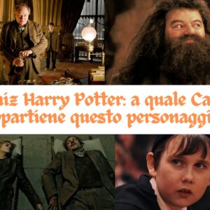 Quiz Harry Potter: a quale Casa appartiene questo personaggio?