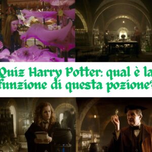 Quiz Harry Potter: qual è la funzione di questa pozione?