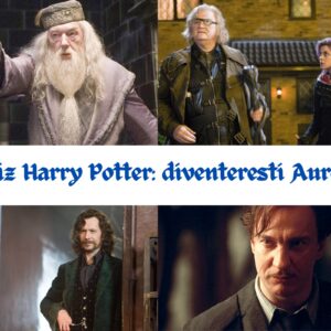 Quiz Harry Potter: diventeresti Auror?