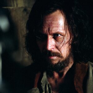 Harry Potter, Gary Oldman severo sul suo Sirius Black: “La mia performance? Mediocre”