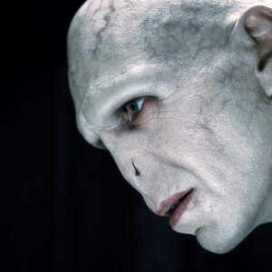 Harry Potter: i fan si esprimono sul casting di Voldemort