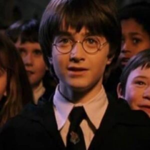 Fan di Harry Potter, al rapporto! Il 14 novembre sarà un giorno speciale per i Potterheads