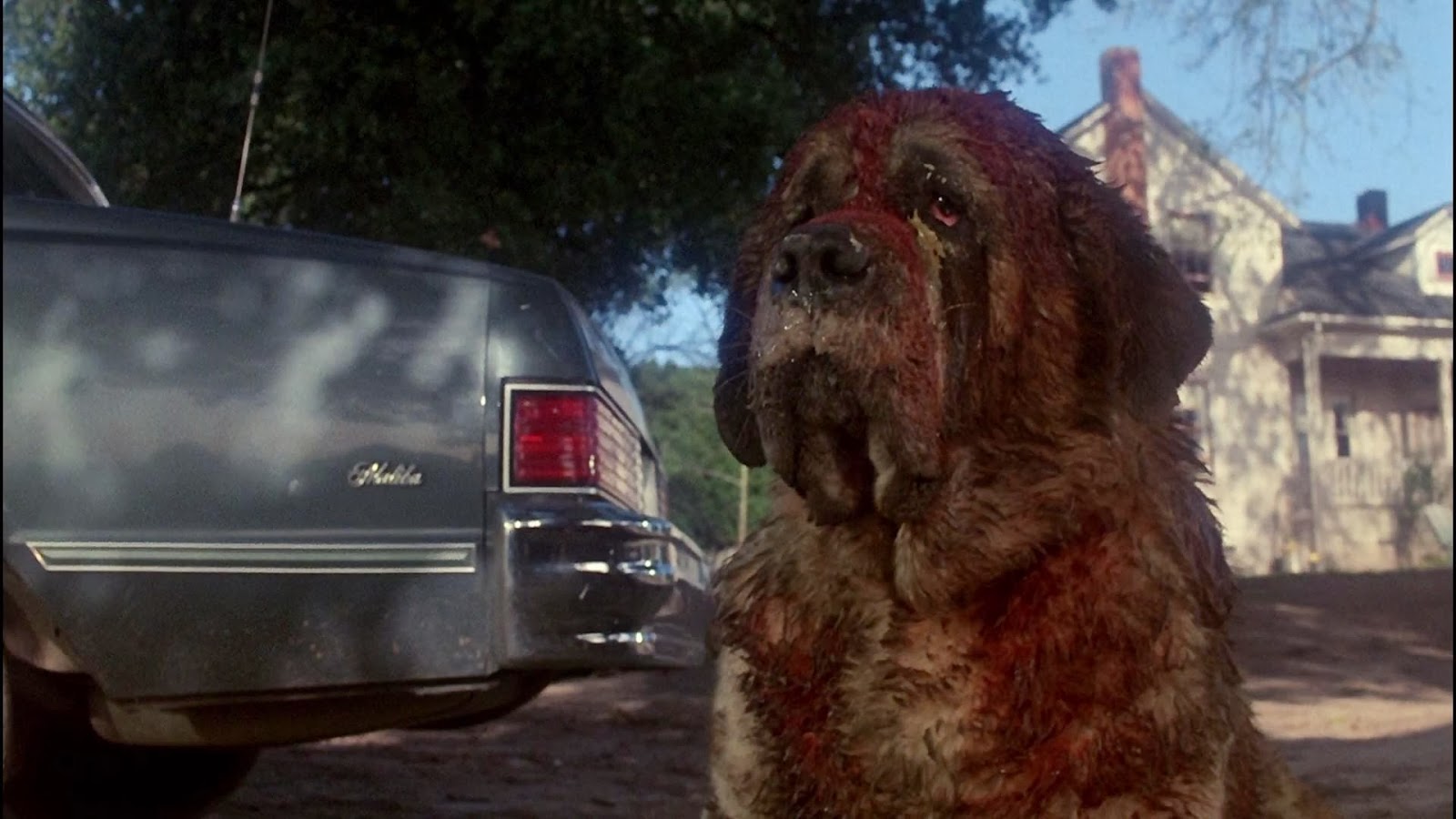 cujo